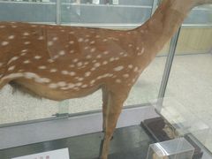-北京中医药大学-中医药博物馆