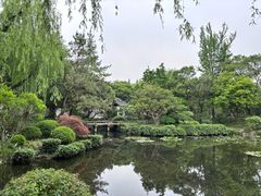 -秋霞圃