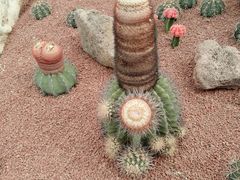 -南通洲际绿博园