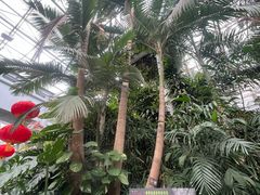 -郑州植物园