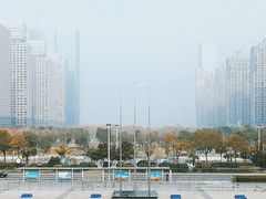 -天鹅湖体育公园