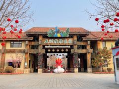 -南宫五洲植物乐园