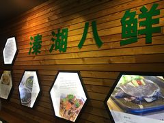 -溱湖国家湿地公园