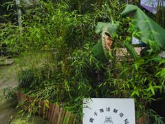 -Metal hands·铁手咖啡