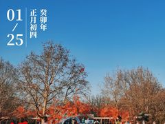 -北京石景山游乐园