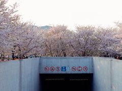 -龙美术馆(西岸馆)