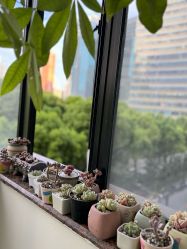 -Fancy梵汐·轻奢量肤定制