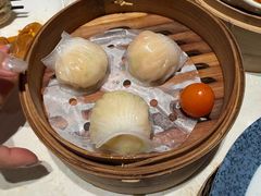 -点都德·毕德寮