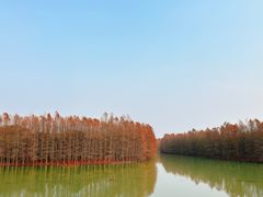 -上海海湾国家森林公园