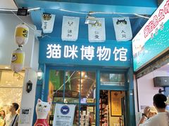 -猫咪博物馆(顶澳仔猫街店)