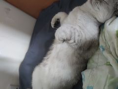 -林康盲人推拿