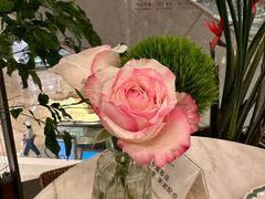 -PAUL LAFAYET 法式甜品(港汇广场店)