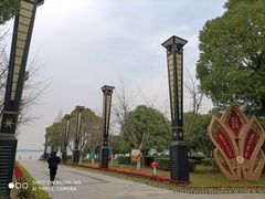 -燕鸣岛