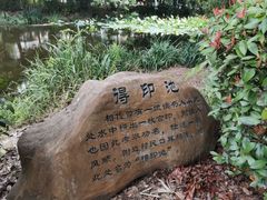 -东山香樟园