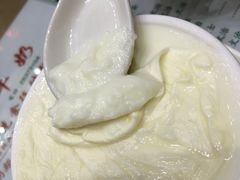 -义顺牛奶公司(新马路老店)