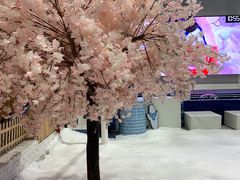 -Mr·Kuma酷么先生雪之乐园