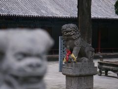 -关林