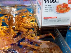 -盒马X会员店(王府井奥莱UP TOWN店)