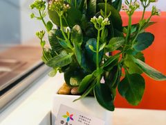 -雪多冰·台湾甜品(高升店)