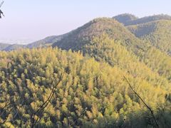 -莫干山风景区