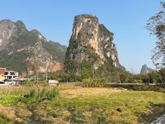 -明仕田园