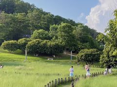 -红花山公园