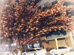 -贤花饭店(城阳店)