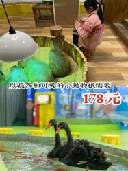 点击看大图 -七巧国萌宠乐园(龙湖天街店)