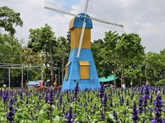 -广东花都香草世界旅游度假区