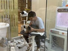 -momokira米努特·德文卷毛猫·棉花面纱犬
