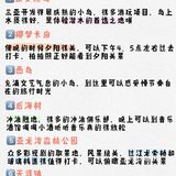 给5、6月首刷三亚的你|三亚旅游问题一网打尽