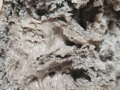 -好利来(靖江路店)