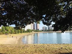 -台场海滨公园船码头
