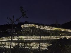 -福道