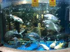 -客家汇·客家传承菜(水库店)