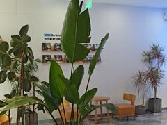 -Blueglass酸奶(财富购物中心店)