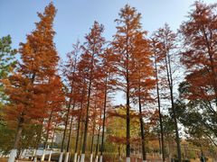 -江南大学(蠡湖校区)