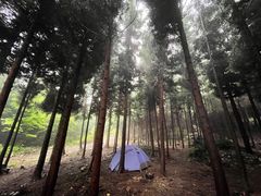 -重庆睡佛山森林公园