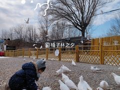 -1982农场