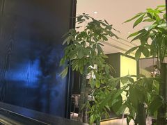 -外婆家(义乌新光汇购物中心店)