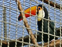 -石家庄市动物园