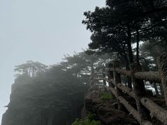 -黄山风景区