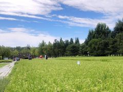 -北坞公园