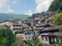 -杨家堂村