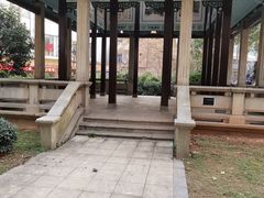 -长沙市青少年宫