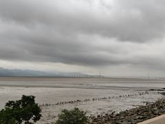 -深圳湾公园(南山区)