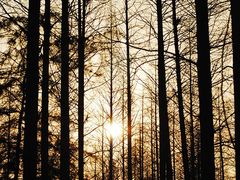 DSC_3960-上海怡沁园度假酒店