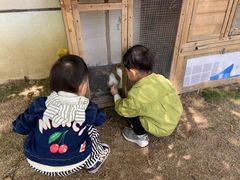 -蒙蒙狮蒙台梭利儿童之家