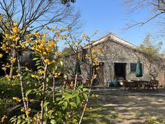 -田园东方蜜桃村的田野营地