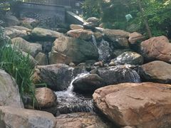 -大连植物园